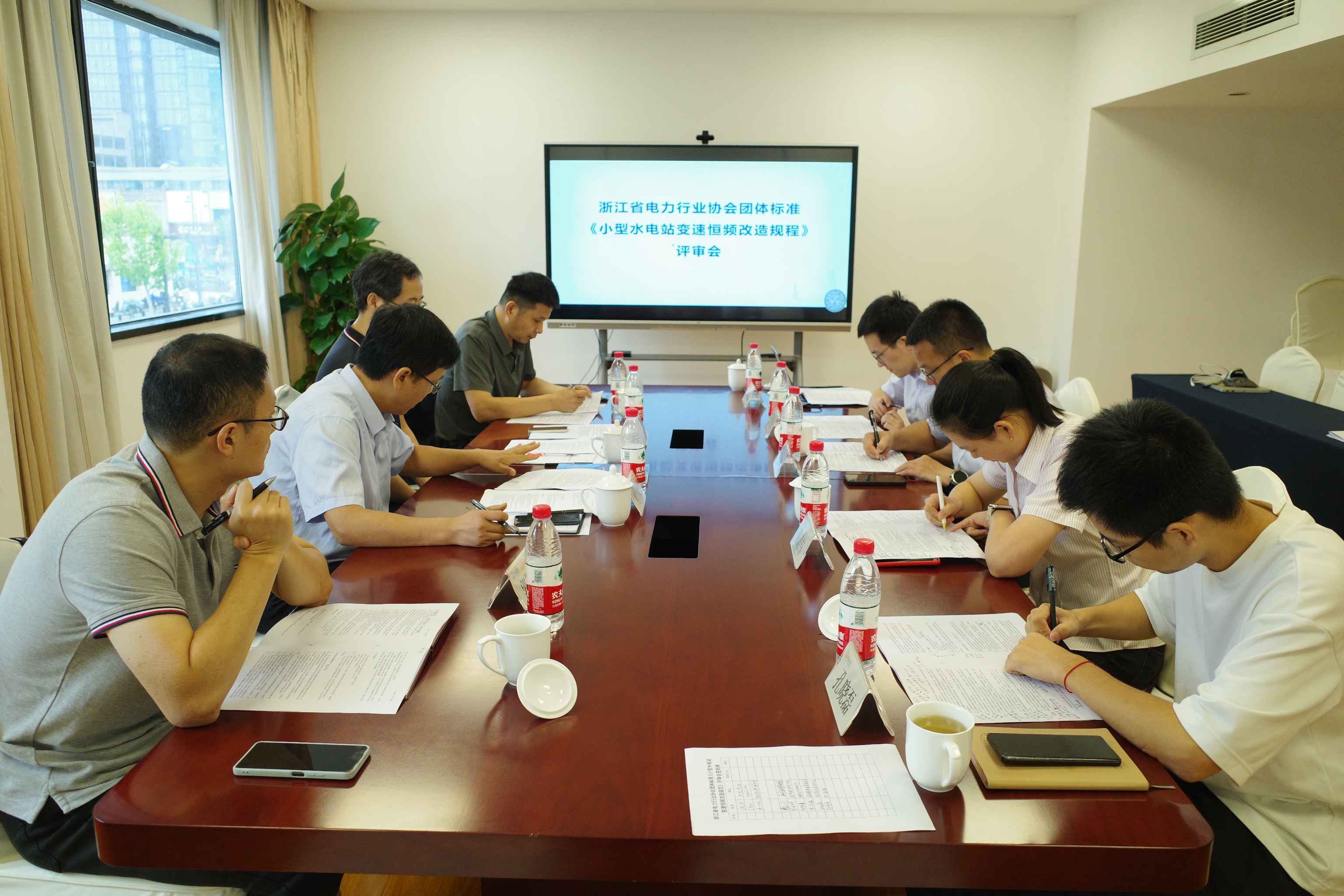 浙江省电力行业协会组织专家评审.JPG